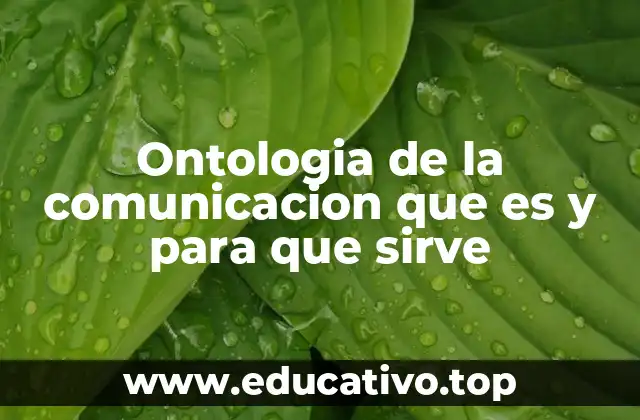 Ontologia de la comunicacion que es y para que sirve