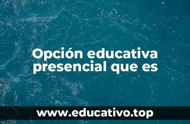 Opción educativa presencial que es