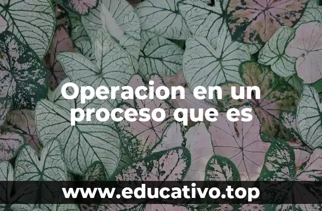 Operacion en un proceso que es