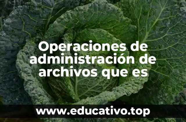 Operaciones de administración de archivos que es