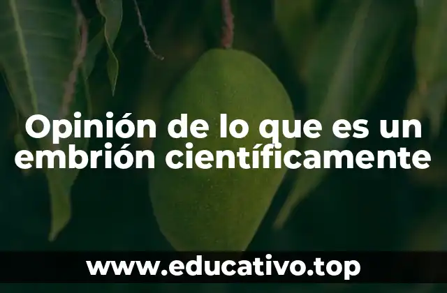 Opinión de lo que es un embrión científicamente
