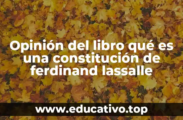 Opinión del libro qué es una constitución de ferdinand lassalle