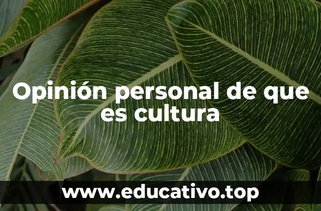 La percepción individual frente a la definición académica de cultura