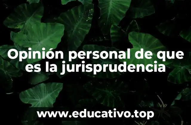 Opinión personal de que es la jurisprudencia