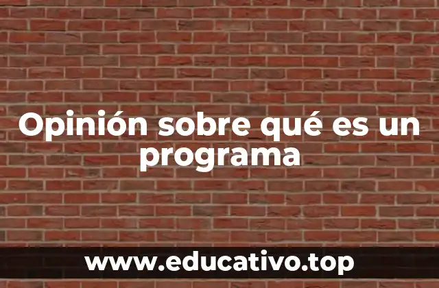Opinión sobre qué es un programa