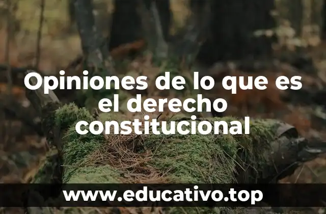 Opiniones de lo que es el derecho constitucional