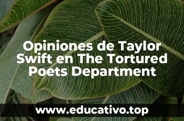 Opiniones de Taylor Swift en The Tortured Poets Department