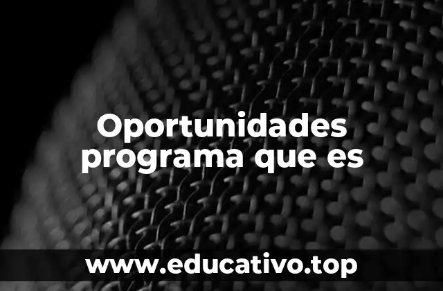 Oportunidades programa que es