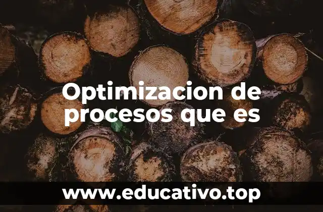 Optimizacion de procesos que es