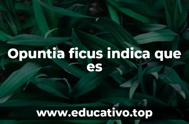 Características principales de la Opuntia ficus-indica