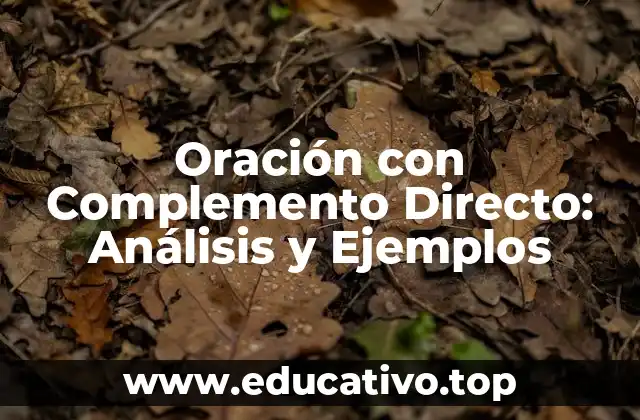 Oración con Complemento Directo: Análisis y Ejemplos