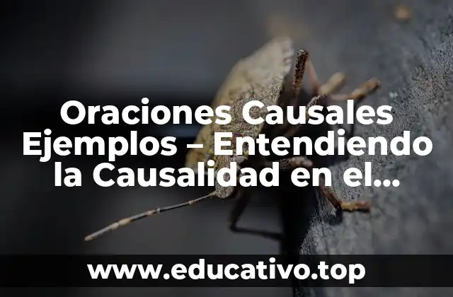 Oraciones Causales Ejemplos – Entendiendo la Causalidad en el Lenguaje