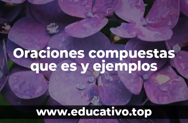 Oraciones compuestas que es y ejemplos