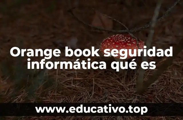 Orange book seguridad informática qué es