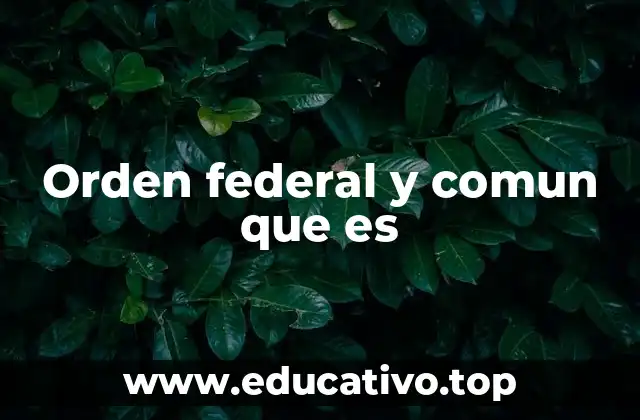 Orden federal y comun que es