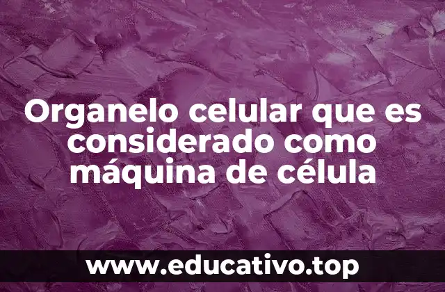 Organelo celular que es considerado como máquina de célula