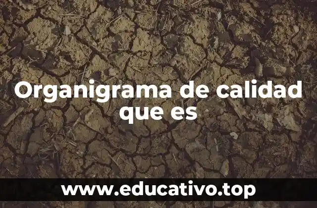 Organigrama de calidad que es