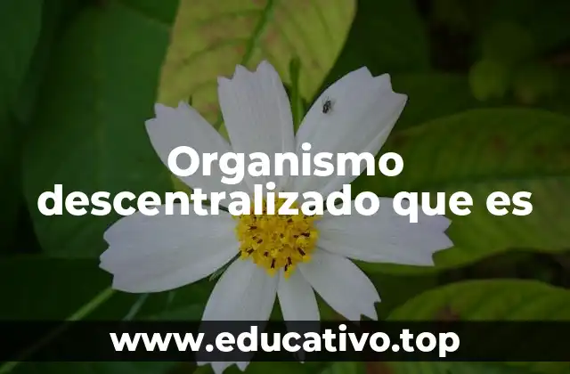 Organismo descentralizado que es