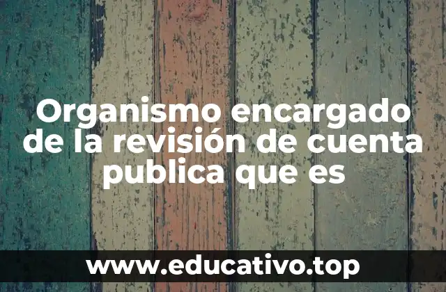 La importancia del control público en la gestión estatal