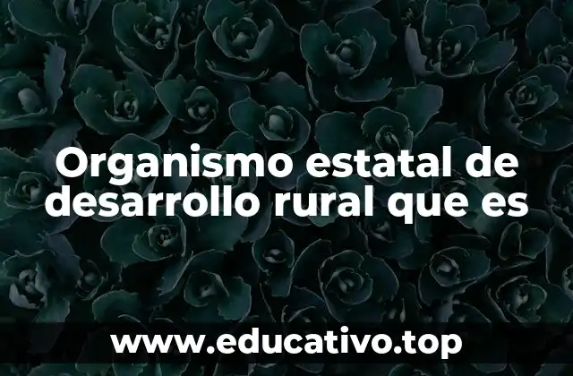 El papel de los organismos estatales en la ruralidad