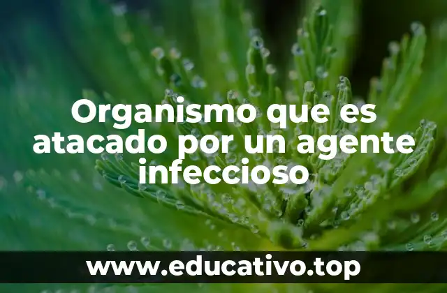 Organismo que es atacado por un agente infeccioso