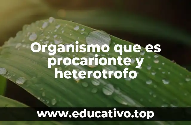 Organismo que es procarionte y heterotrofo