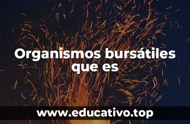 Organismos bursátiles que es