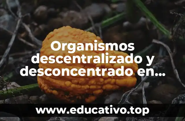 Organismos descentralizado y desconcentrado en mexico que es