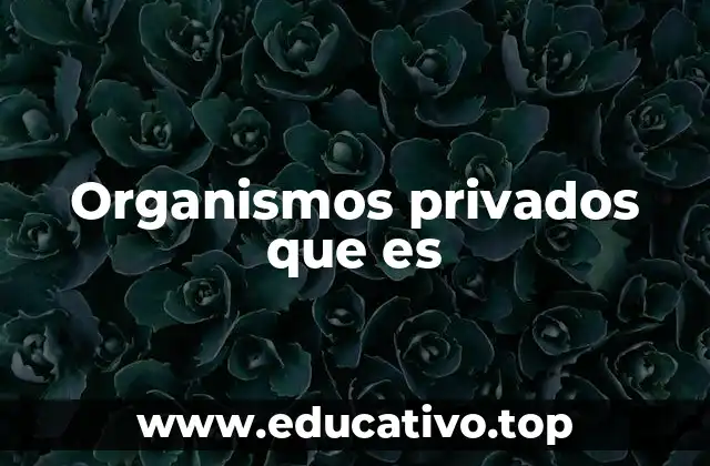 Organismos privados que es