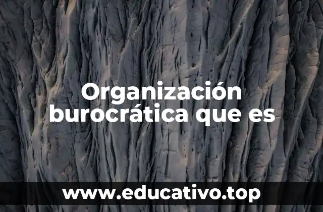 Organización burocrática que es