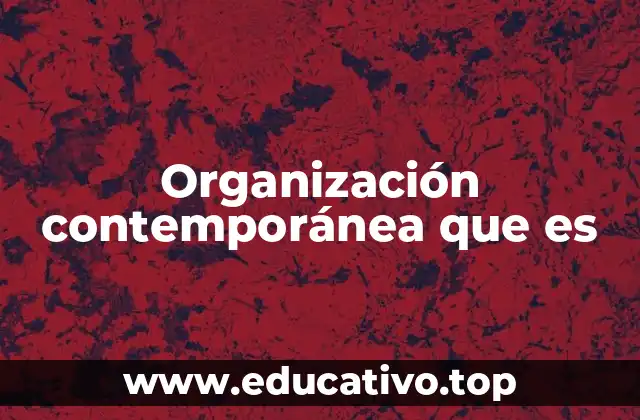 Organización contemporánea que es