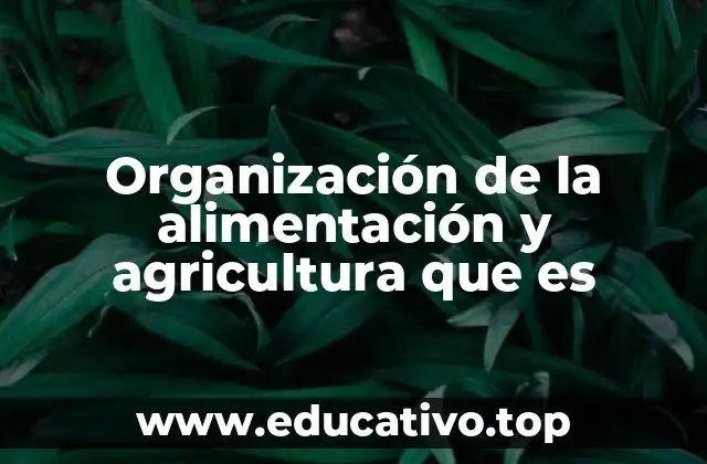 Organización de la alimentación y agricultura que es