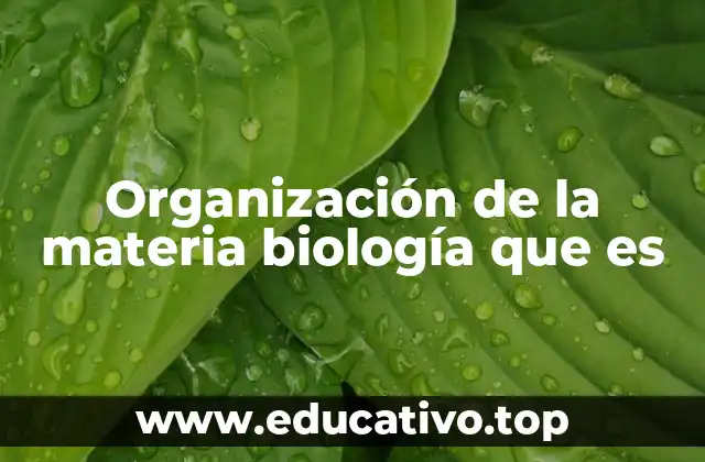 Organización de la materia biología que es