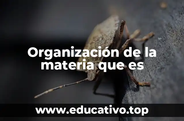 Organización de la materia que es