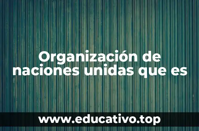 Organización de naciones unidas que es