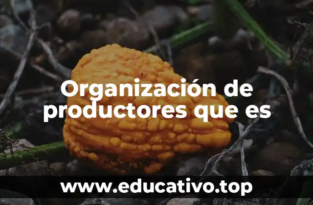 Organización de productores que es