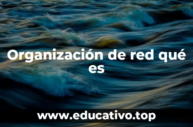 Organización de red qué es