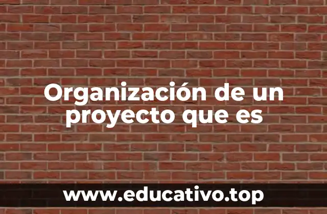 Cómo estructurar un proyecto sin mencionar el término organización