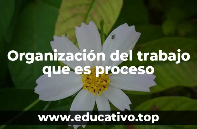 Organización del trabajo que es proceso