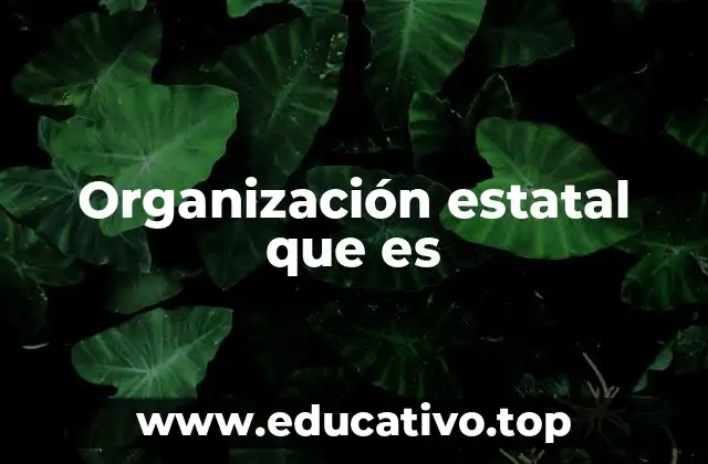Organización estatal que es