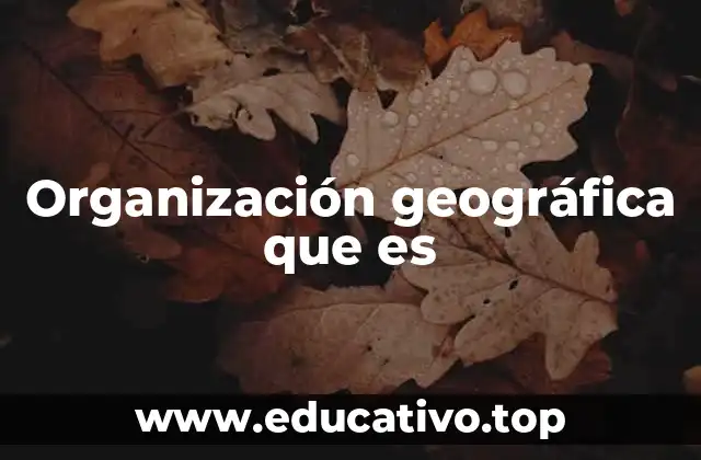 Organización geográfica que es