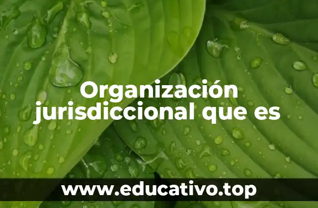 Organización jurisdiccional que es