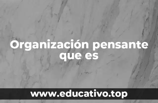 Organización pensante que es