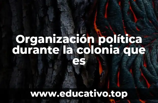 Organización política durante la colonia que es