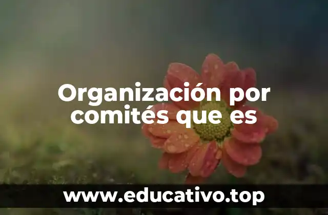 Organización por comités que es