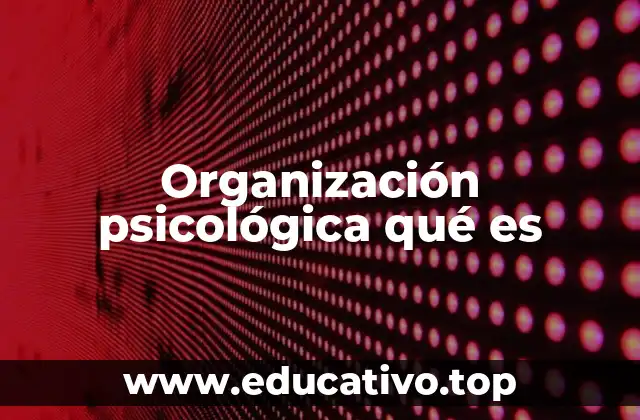 Organización psicológica qué es