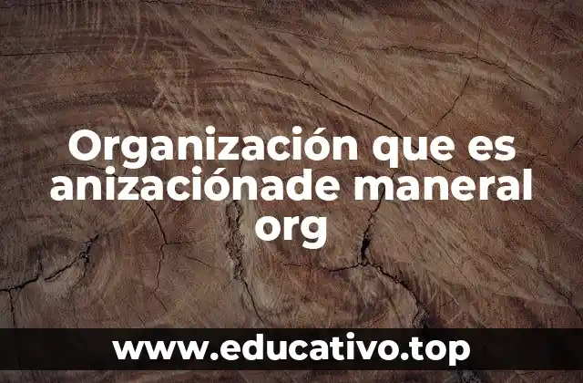 Organización que es anizaciónade maneral org
