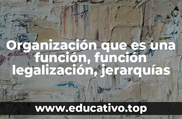 Organización que es una función, función legalización, jerarquías