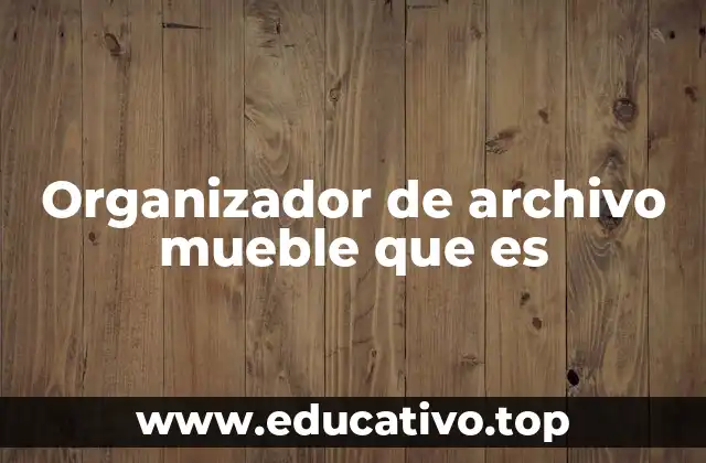 Organizador de archivo mueble que es