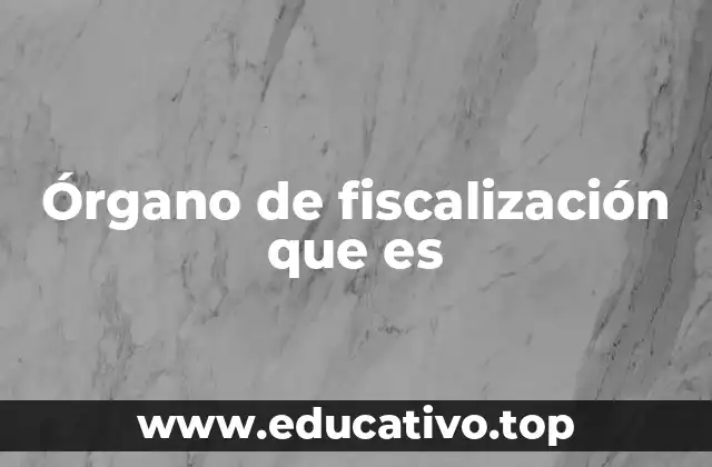 Órgano de fiscalización que es